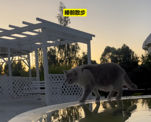 出去走两步, 动最容易被