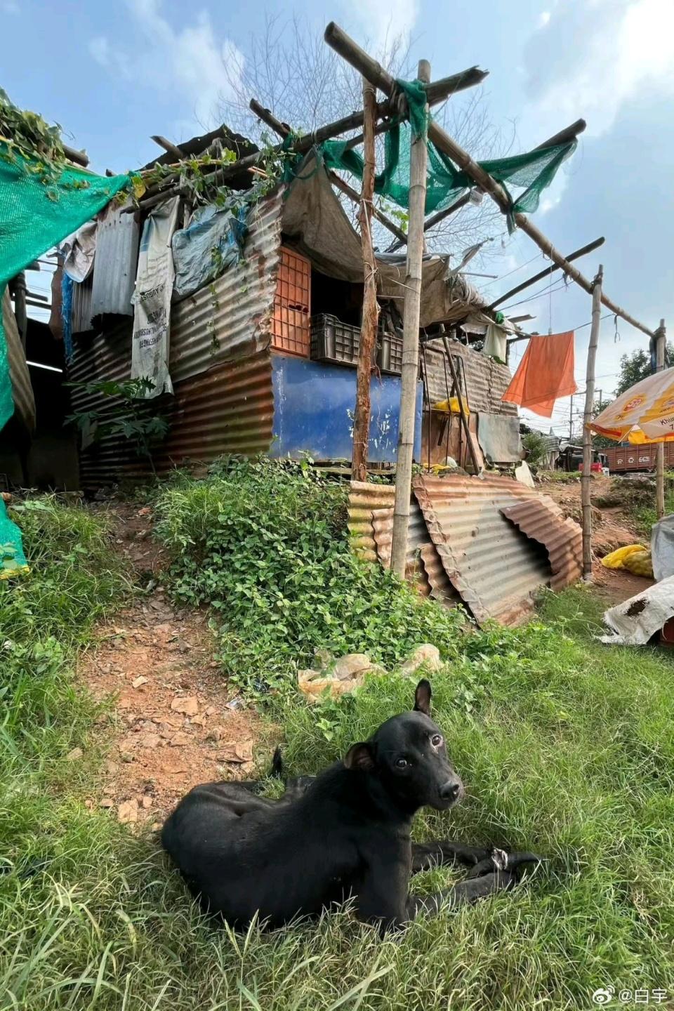 bd, ws, 队将在 bd, ws, 队将在